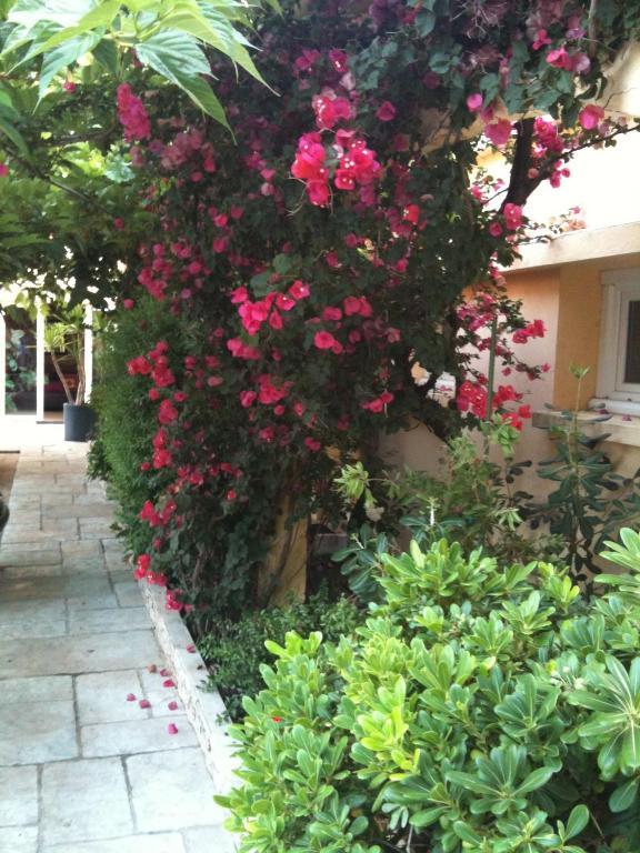 פורטיסיו Hotel-Motel Agosta Plage מראה חיצוני תמונה